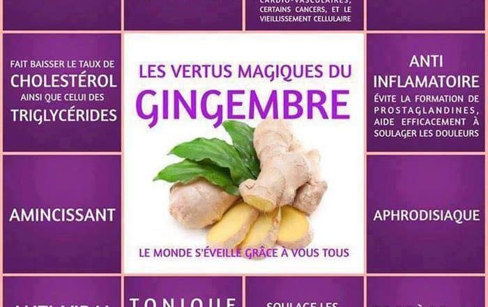 découvrez les incroyables bienfaits de l'ail et du gingembre pour votre santé. ces deux ingrédients naturels sont reconnus pour renforcer le système immunitaire, améliorer la digestion et posséder des propriétés anti-inflammatoires. apprenez comment les intégrer facilement dans votre alimentation quotidienne.